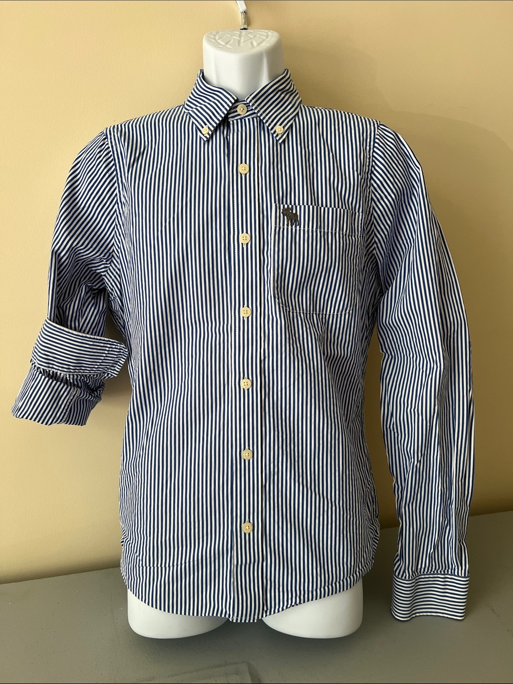 Abercrombie & Fitch Navy and White Vertical Stripe Button-Down Shirt